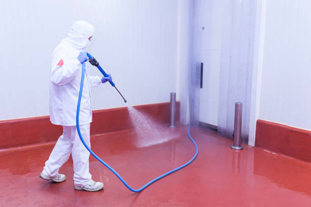 Best Graffiti Removal  in Cudjoe Key, FL