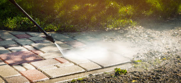 Best Solar Panel Cleaning  in Cudjoe Key, FL