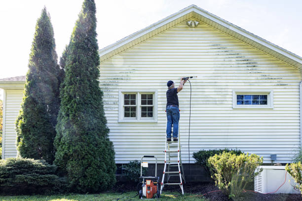 Professional Pressure Washing Services in Cudjoe Key, FL